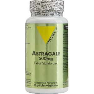 ASTRAGALE 500MG 60 GEL
