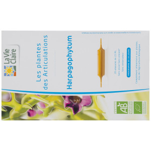 Les plantes des Articulations, Harpagophytum.