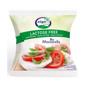 MOZZARELLA BIO S/LACTOSE 100 G