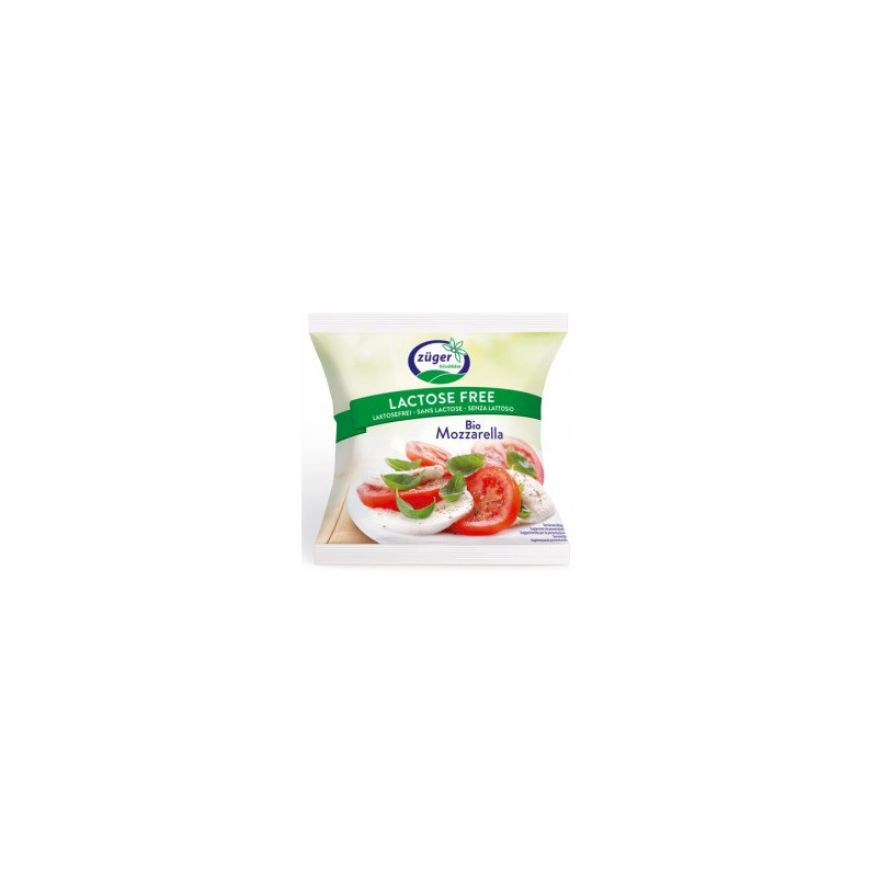 MOZZARELLA BIO S/LACTOSE 100 G