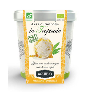 Crème glacée Gourmande 500ml TROPICALE