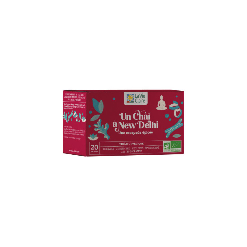 THE UN CHAI A NEW DELHI