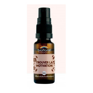 FDB TROUVER MOTIV SPRAY 20ML