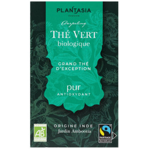 PLANTASIA THE VERT PUR