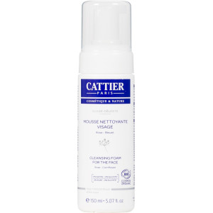 MOUSSE NETTOYANTE  150ML