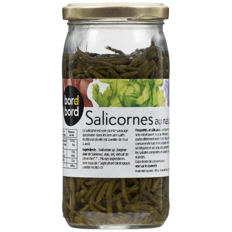 SALICORNES SAUVAGES AU NATUREL