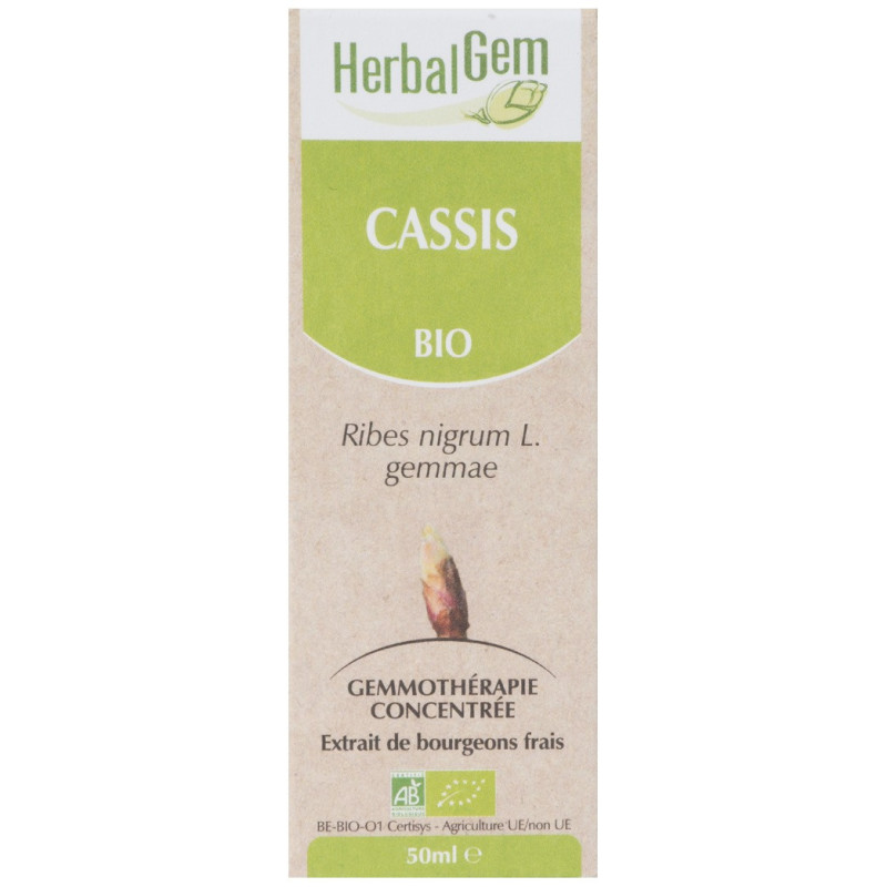 CASSIS 50ML