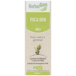 FIGUIER 50ML