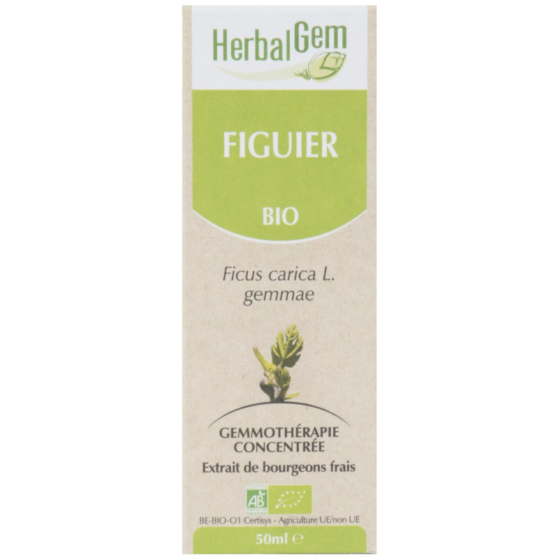 FIGUIER 50ML