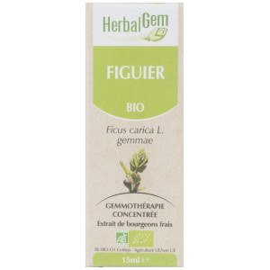FIGUIER 15ML