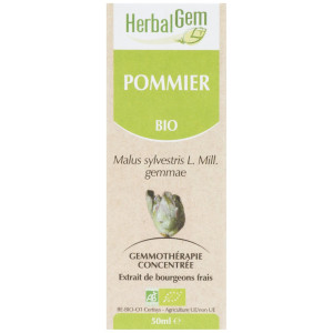 POMMIER 50 ML